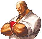 Geese Howard