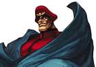 M. Bison