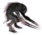 Creature Artwork