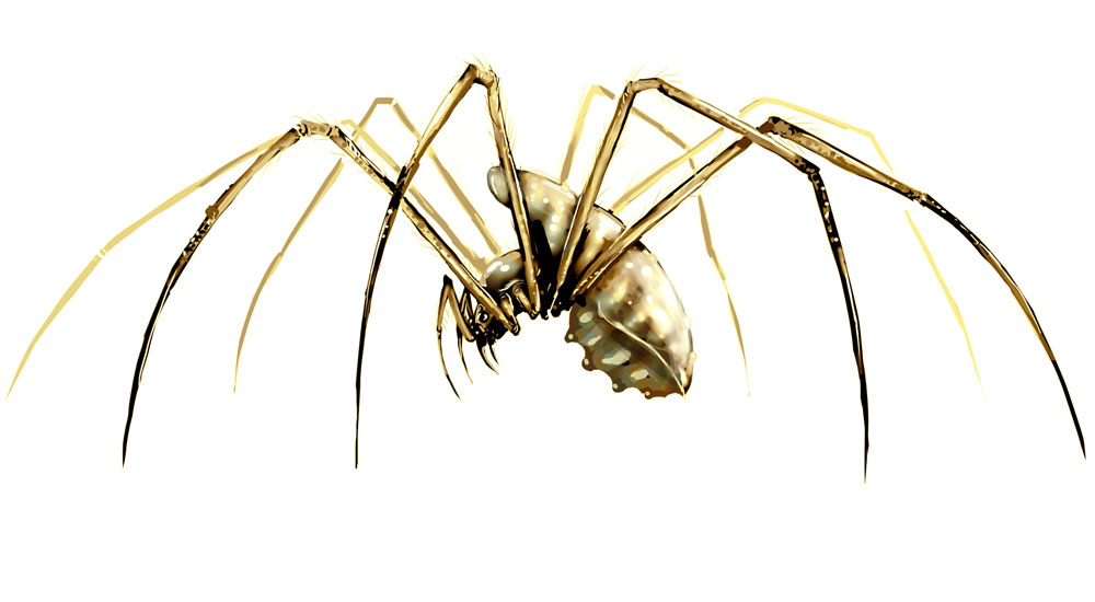Desert Spider Art from Divinity II: Ego Draconis