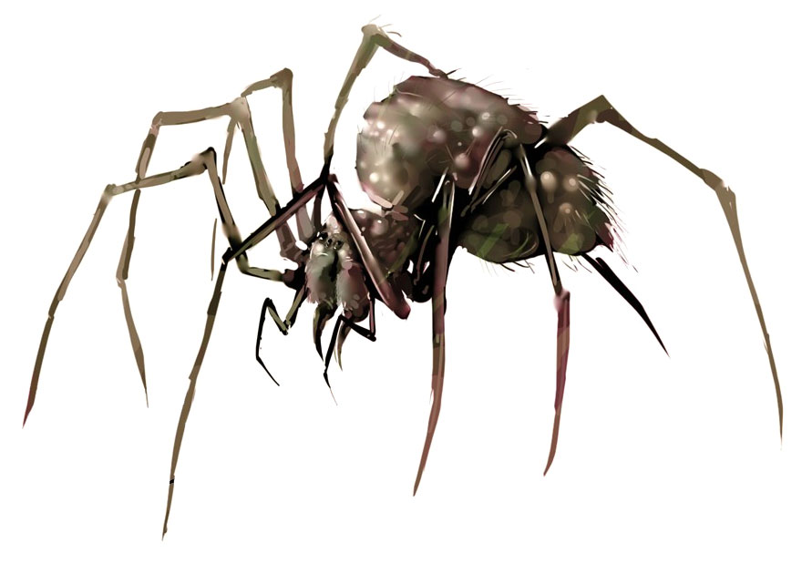 Forest Spider Art from Divinity II: Ego Draconis