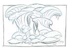 Cavern Study