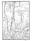 Jungle Study