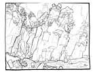 Jungle Study
