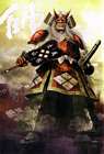 Takeda Shingen Illustration