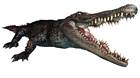 Gator