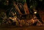 Creeping Coffin