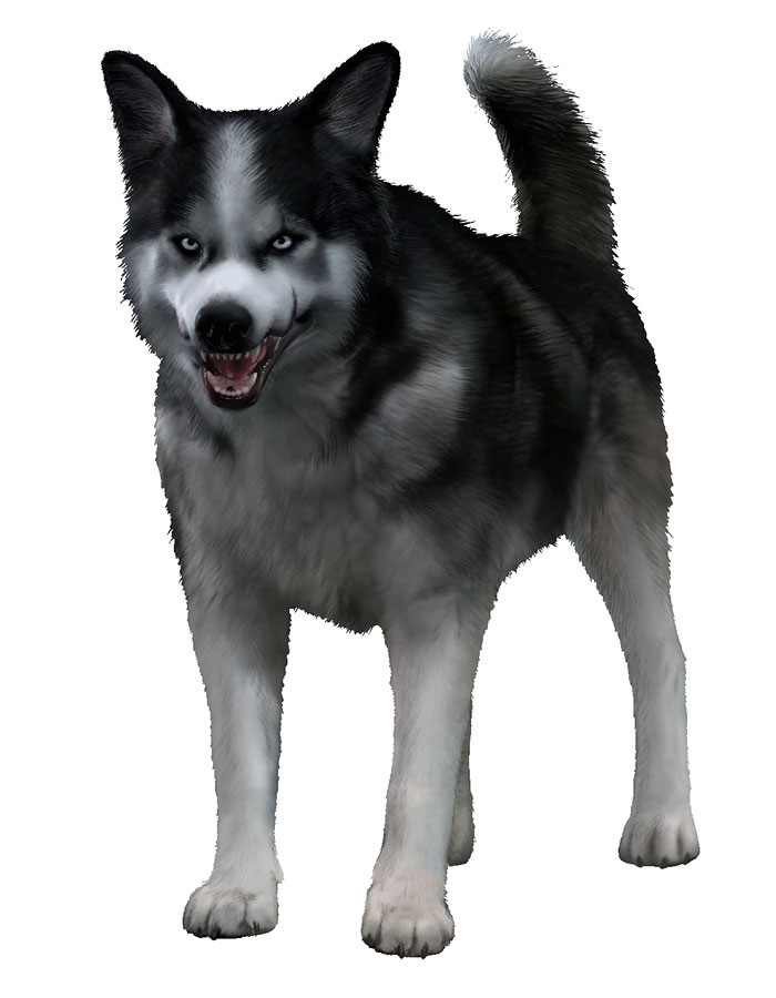 Shadow Render from Dead to Rights: Retribution