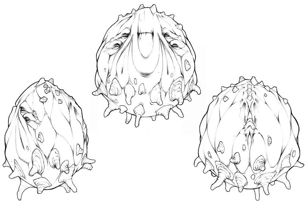 Almighty Raisin Concept Art from Oddworld: Munch's Oddysee