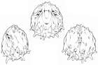 Almighty Raisin Concept