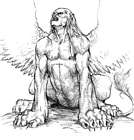 Androsphinx