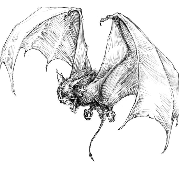 Dire Bat Art from Neverwinter Nights