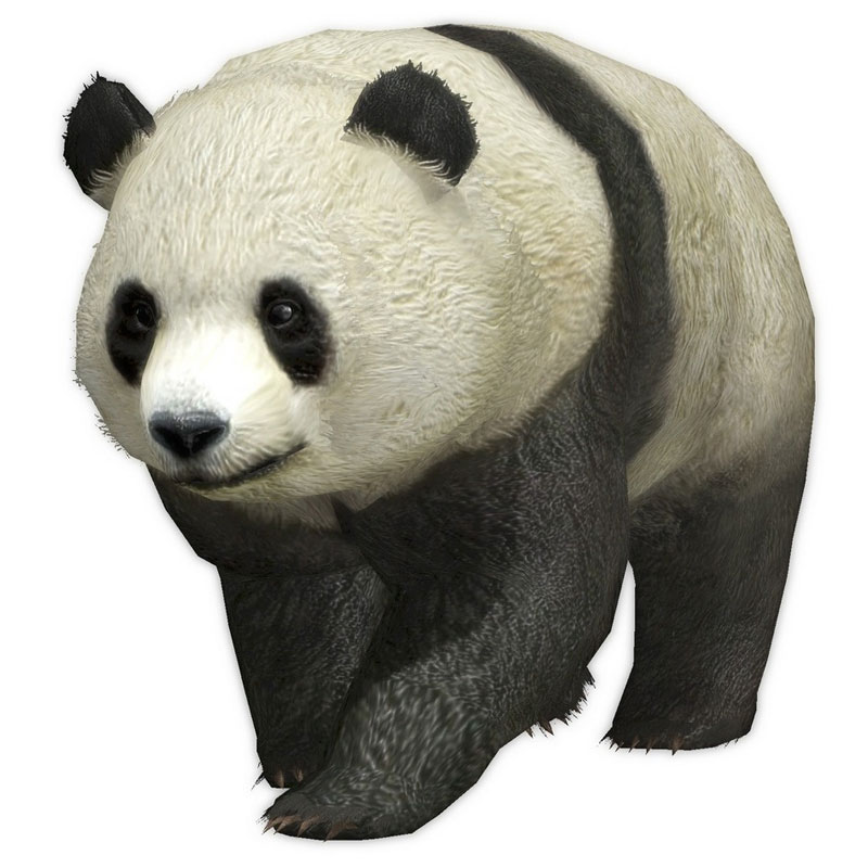Panda Art from Dynasty Warriors 7