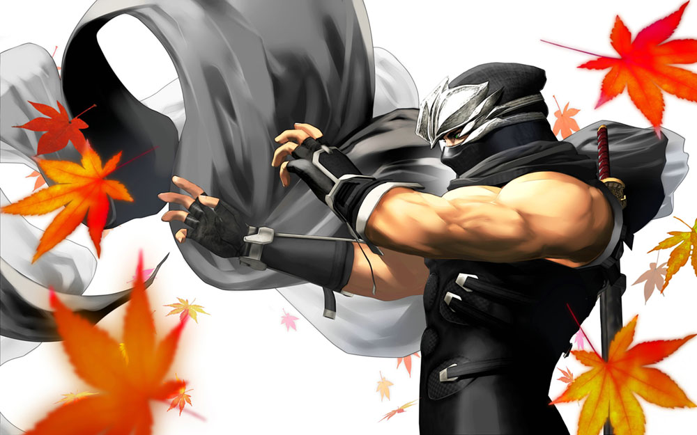 Hayabusa Illustration from Dead or Alive: Dimensions