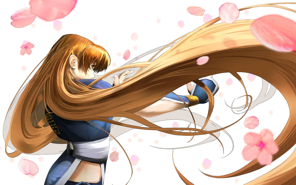 Kasumi Illustration from Dead or Alive: Dimensions