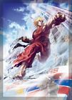 Ken Masters
