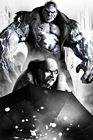 Solomon Grundy & Penguin