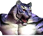 Shenlong, Tiger Portrait