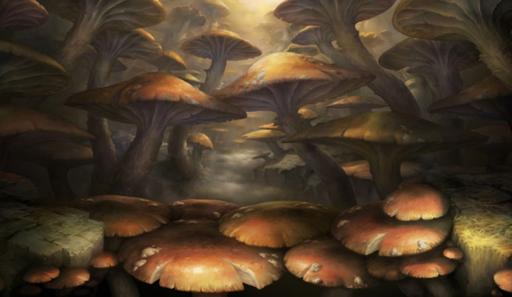Mushrooms Art from Dragon's Crown