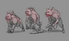 Baby Pigs