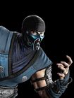 Sub-Zero Portrait