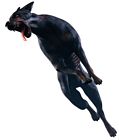 Zombie Dog