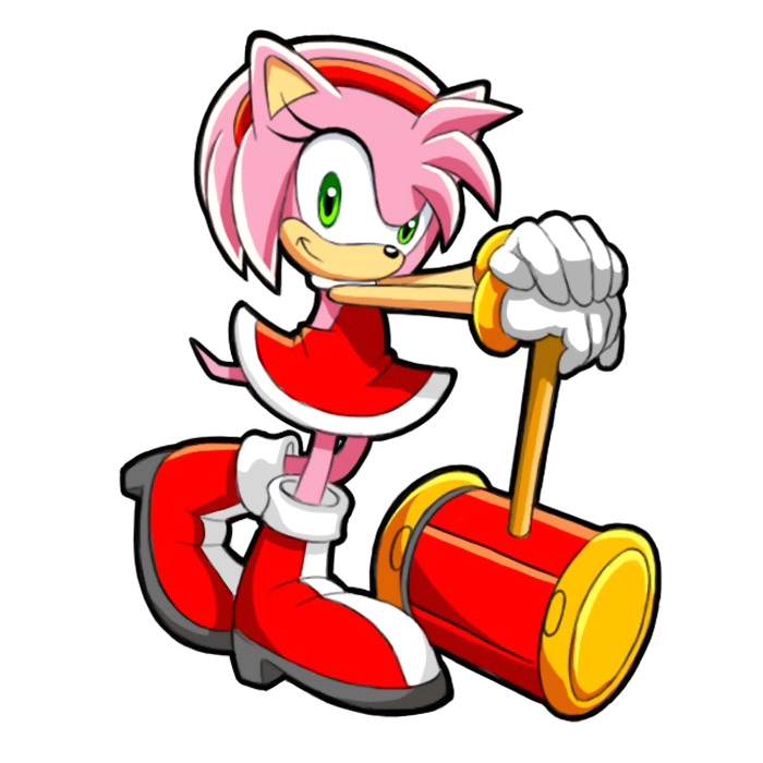 Amy Rose Art from Sonic Chronicles: The Dark Brotherhood