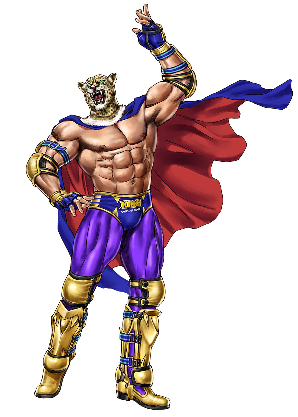 King II Art by Shunya Yamashita from Tekken Tag Tournament 2