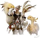 Chocobo & Miqo'te Male