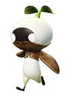 Mandragora