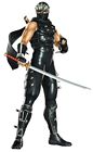 Ryu Hayabusa