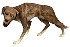 Inu