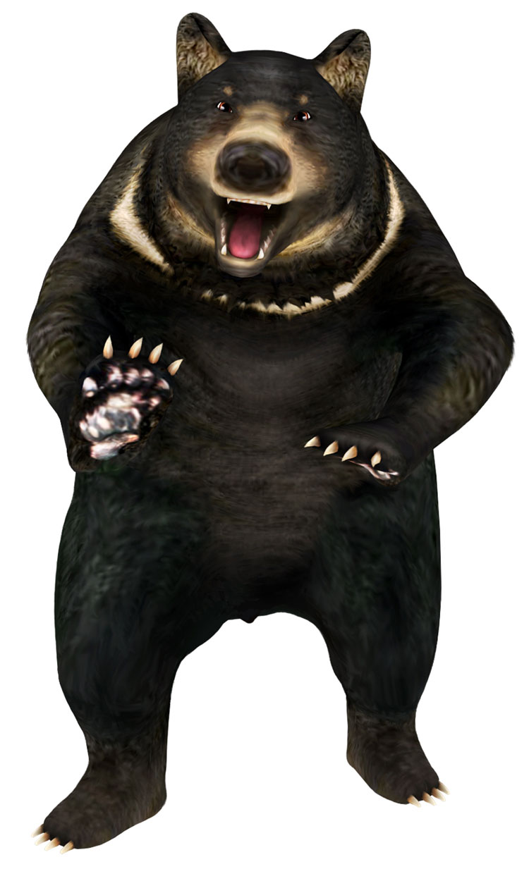 Kuma Art from Tenchu: Fatal Shadows