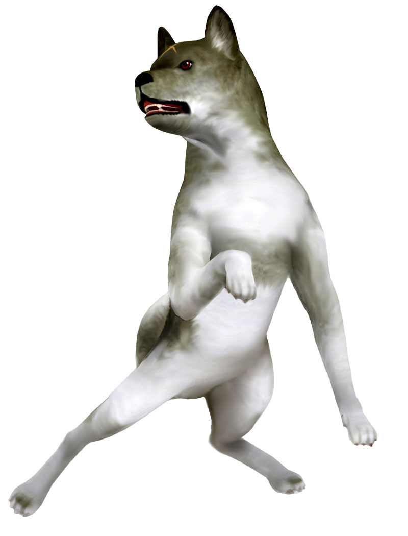 Ninken Art from Tenchu: Fatal Shadows