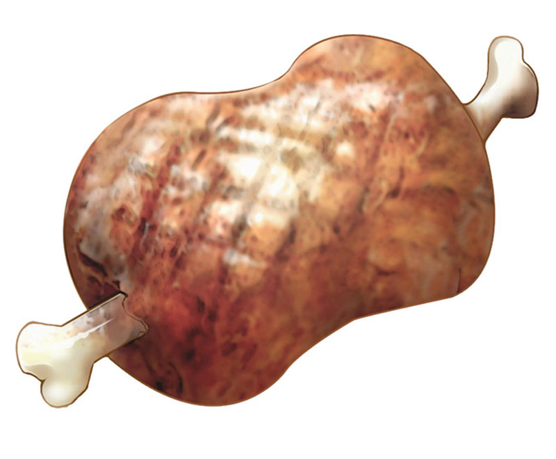 Meat Art from Kid Icarus: Uprising