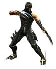 Hayabusa & Talons