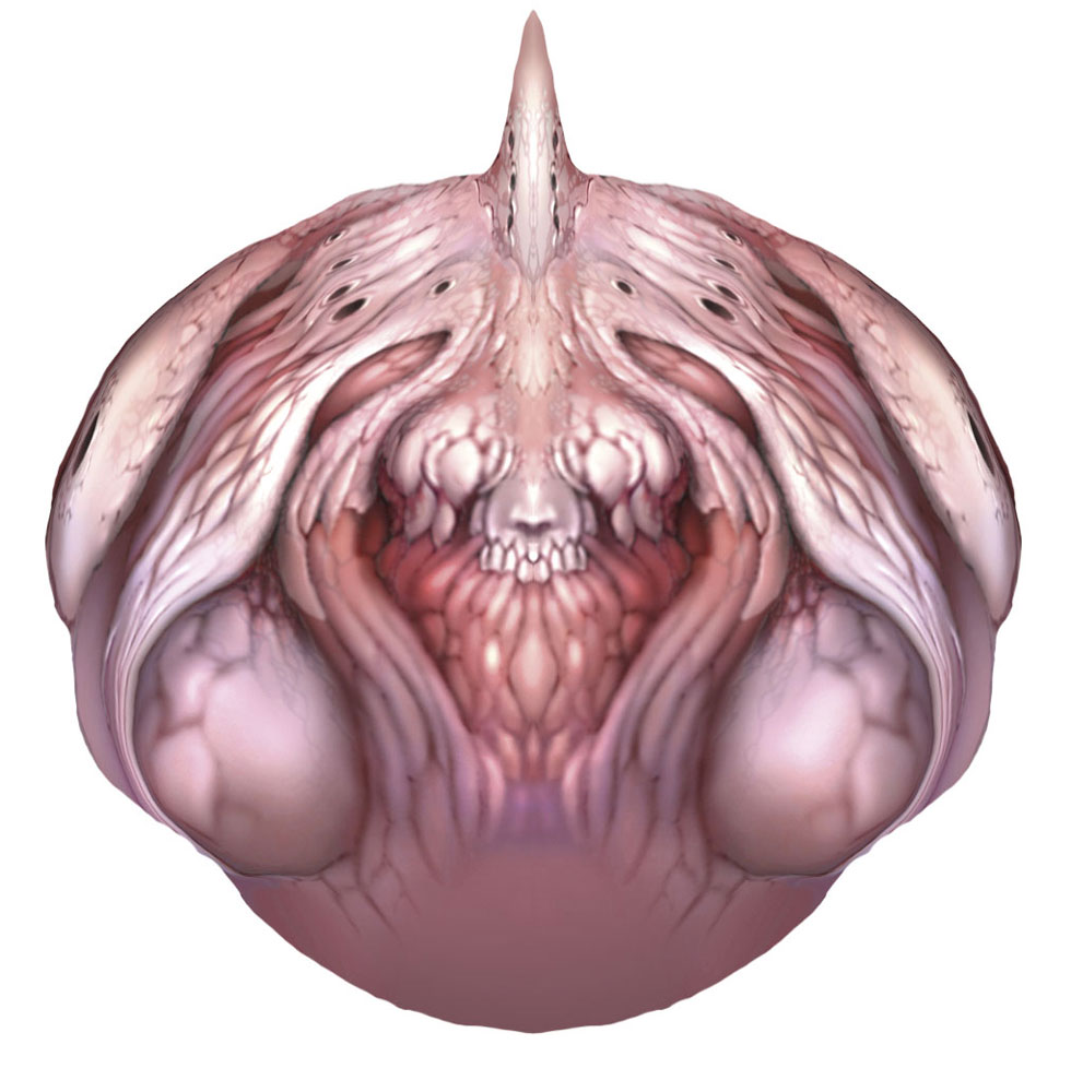 Meat Art from Pandora's Tower