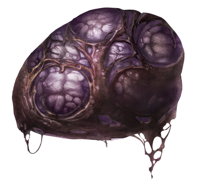 Monster Heart from Pandora's Tower