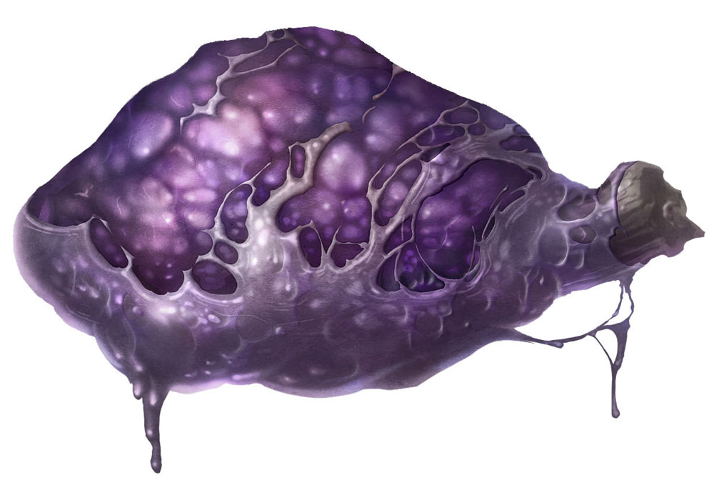 Monster Heart from Pandora's Tower