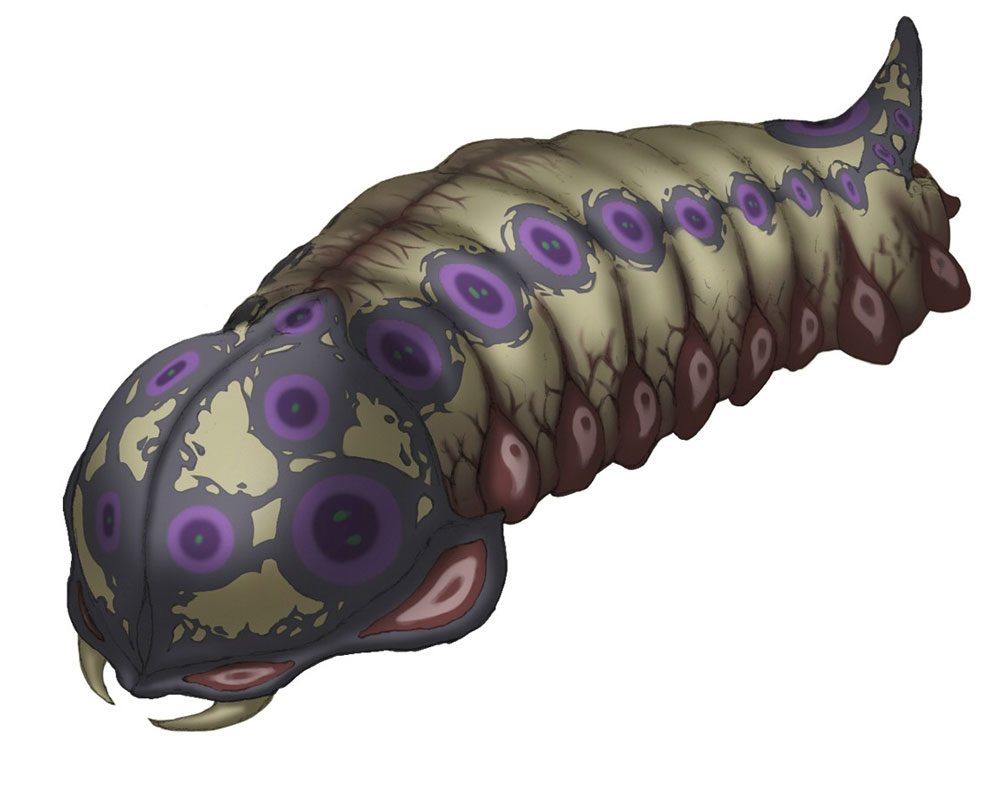 Moth Larva Art from Pandora's Tower