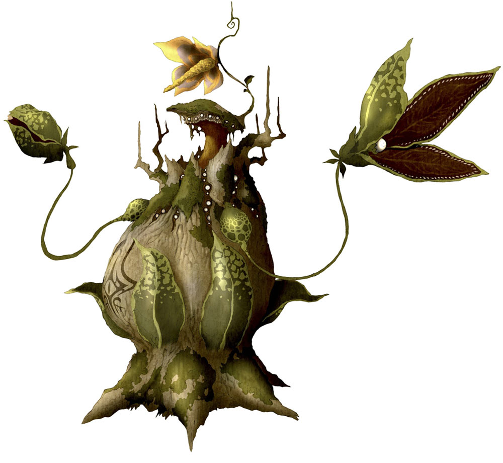 Nepenthes Art from Pandora's Tower