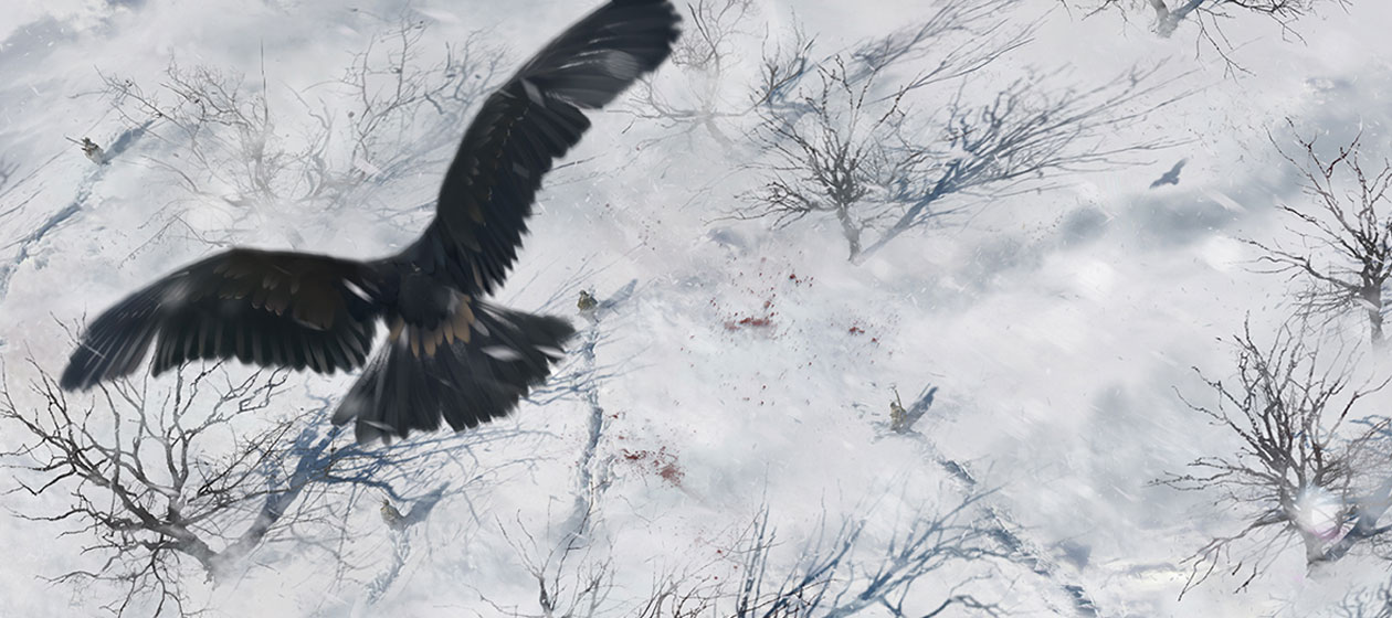 Eagle Over Snowy Frontier Art from Assassin's Creed III