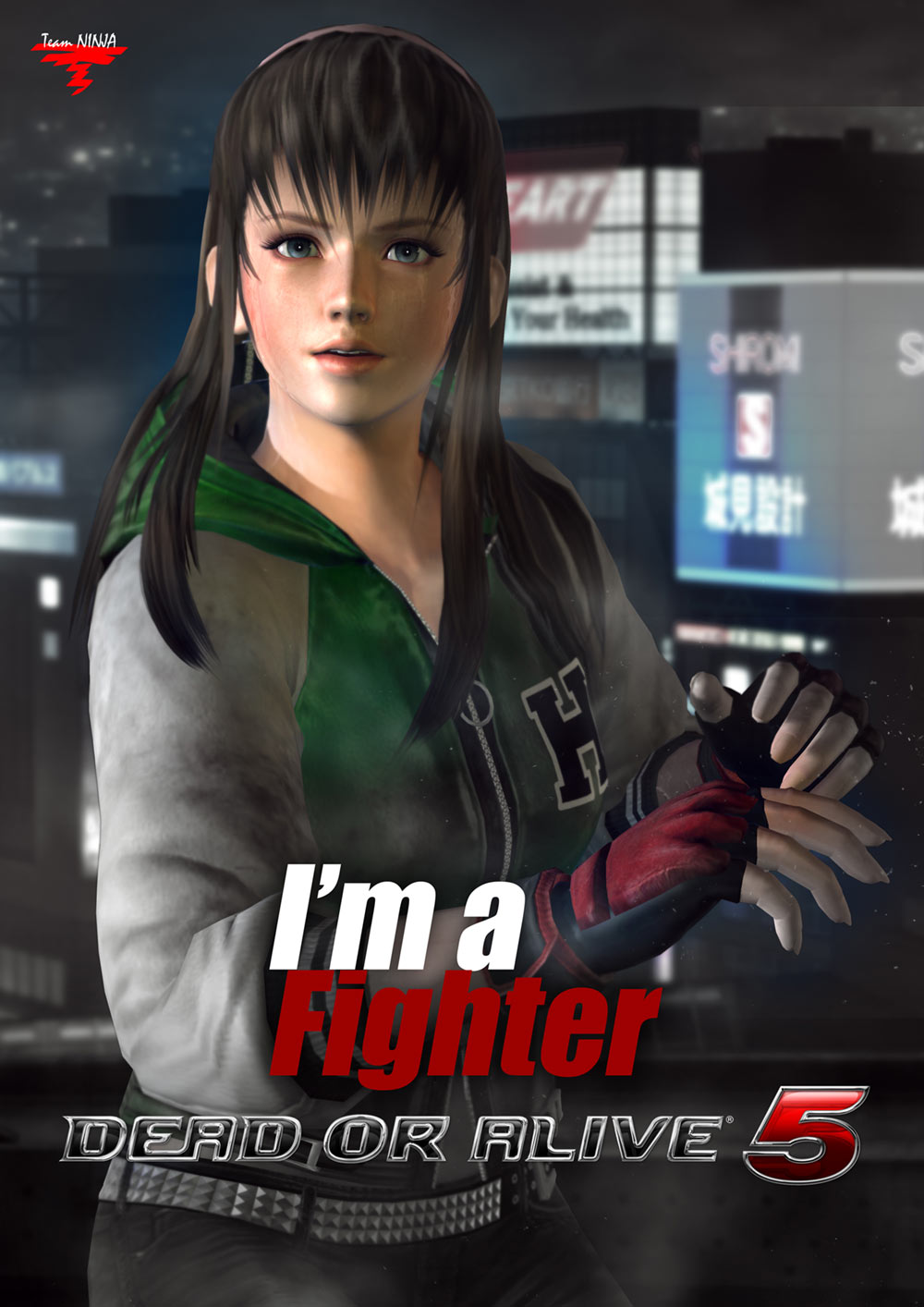 Hitomi Promo Art from Dead or Alive 5