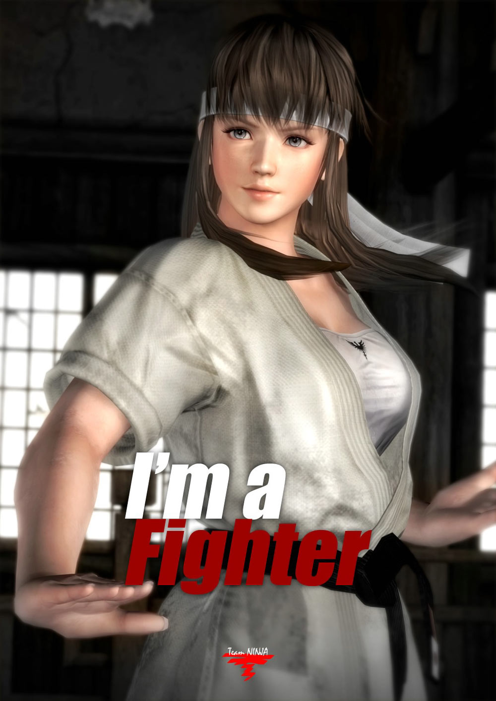 Hitomi Promo Art from Dead or Alive 5