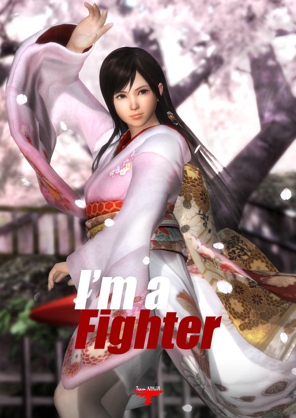 Kokoro Promo Art from Dead or Alive 5