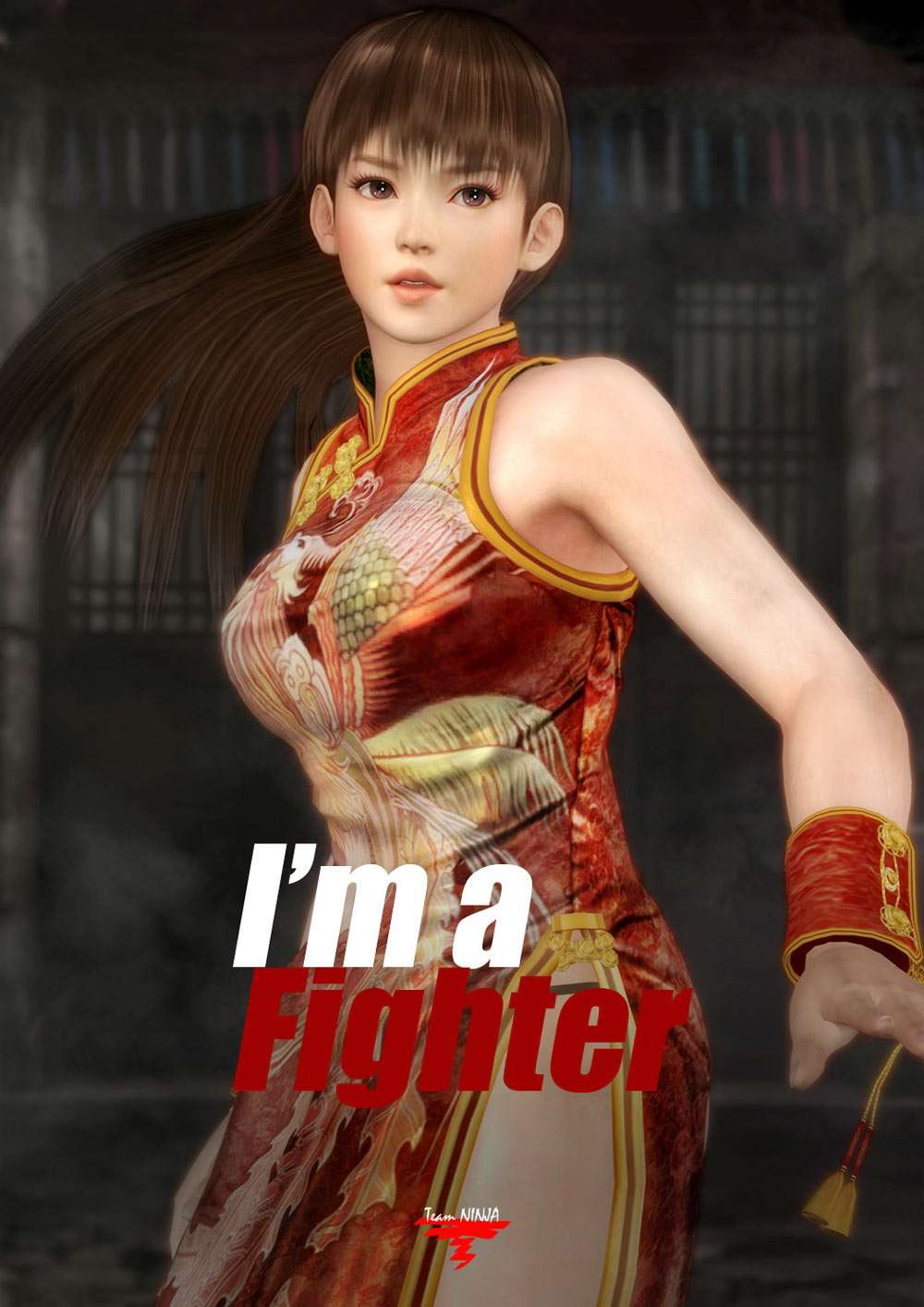 Lei Fang Promo Art from Dead or Alive 5
