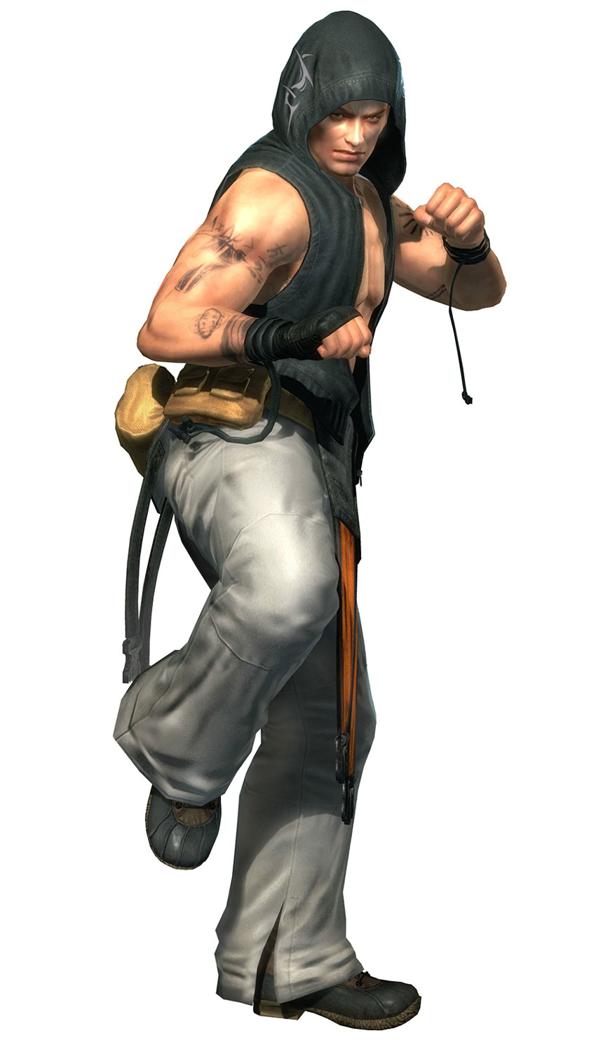 Rig Art from Dead or Alive 5