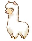 Alpaca