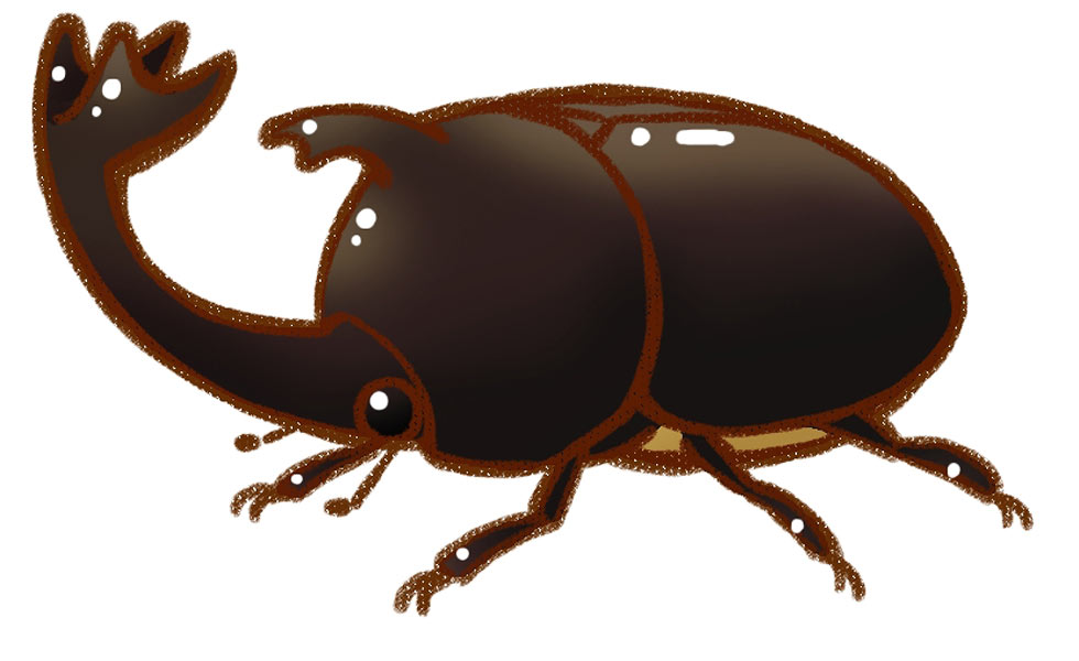 Beetle Art from Harvest Moon: The Tale of Two Towns