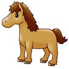 Pony